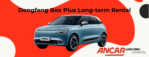 Dongfeng Box Plus Long-Term Rental Options Explained