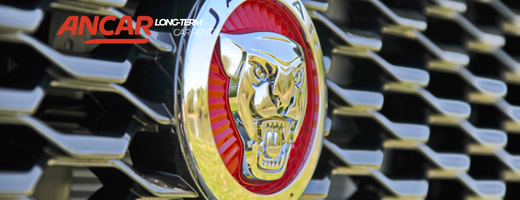 Jaguar-long-term-rental