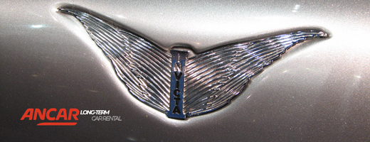 invicta-electric-long-term-rental