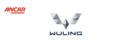 wuling-long-term-rental